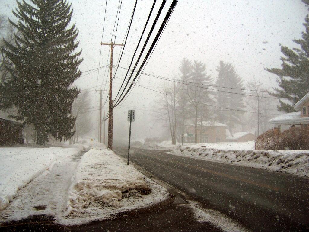 Photo: Almost a White Out Photo: Almost a White Out