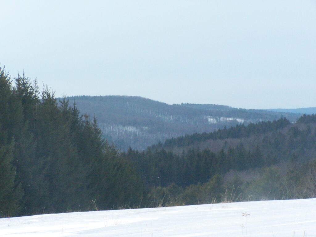Photo: Huntersland Hollow