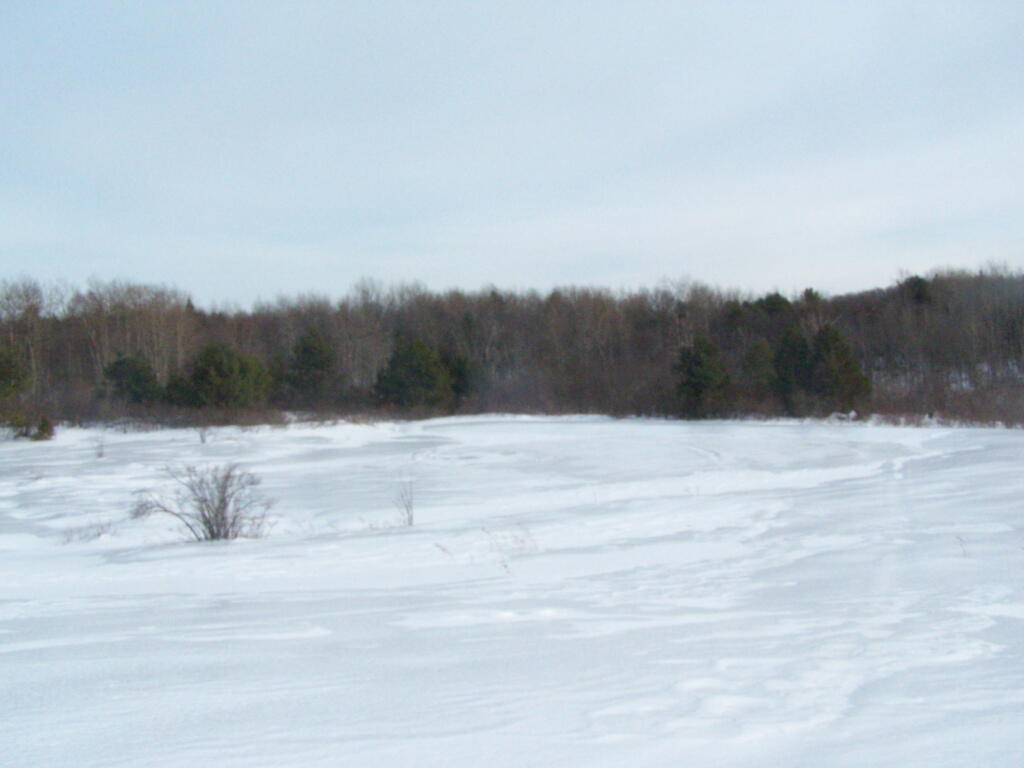 Photo: Ice and Snow Covered Pond