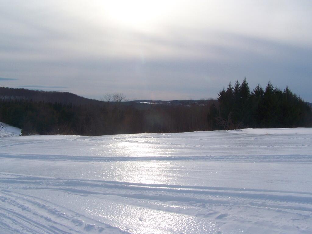 Photo: Sheen of Sun on Ice
