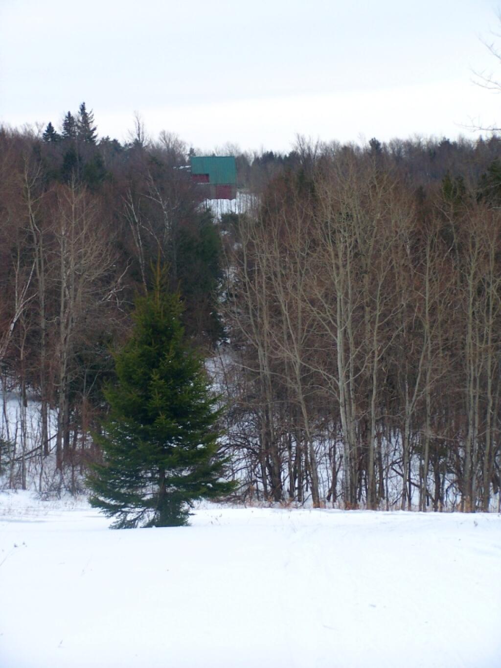 Photo: House on the Hill