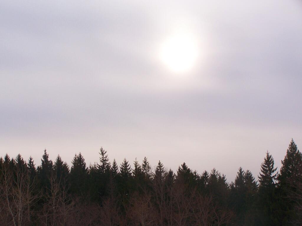 Photo: Sun Peaking Thru the Haze