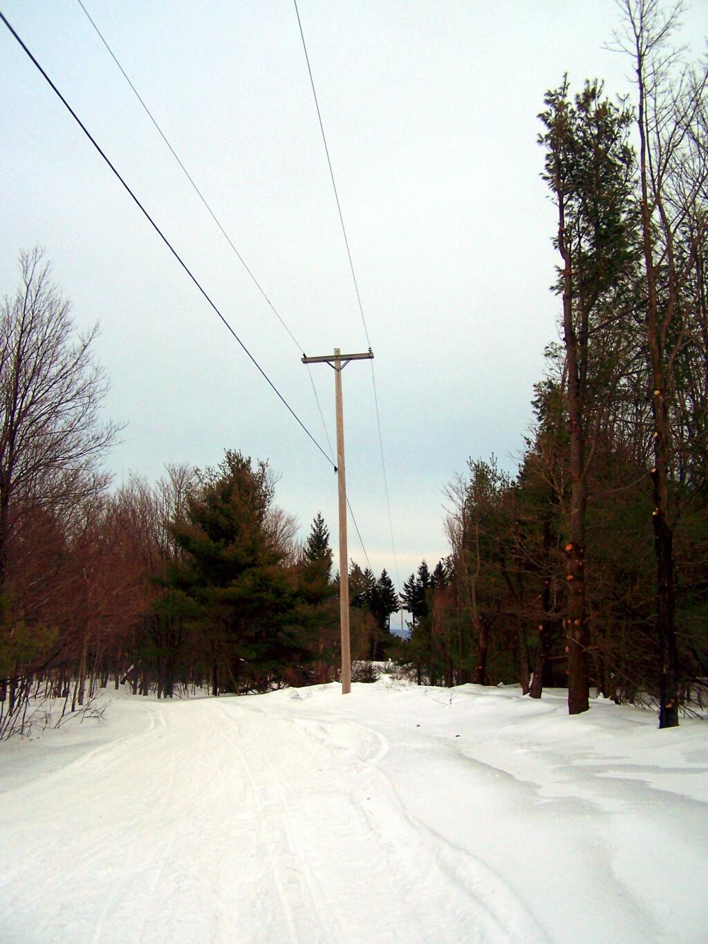 Photo: Powerline Right-Of-Way