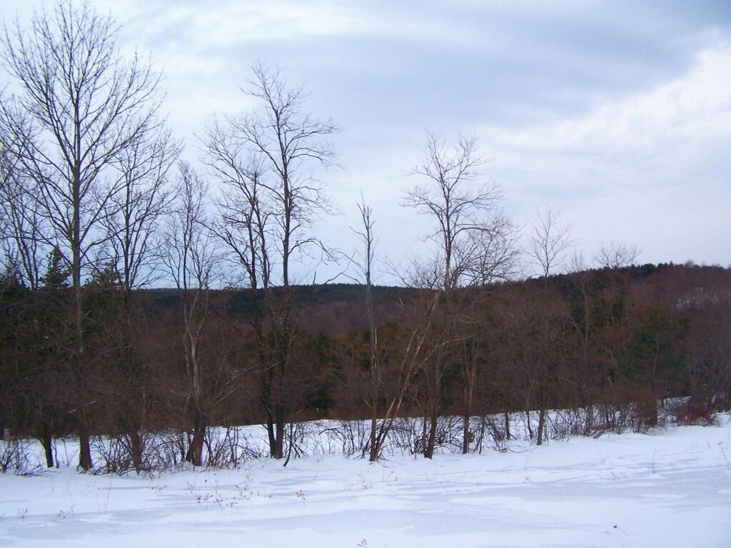 Photo: Cook Hill Valley