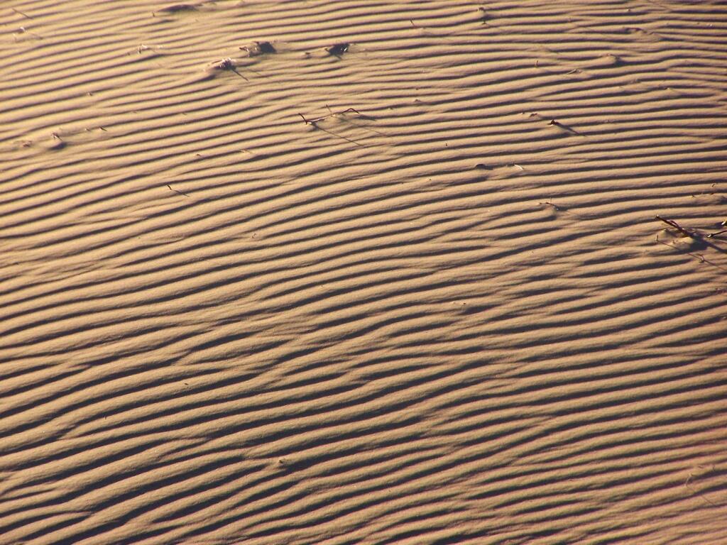 Photo: Windswept Sand Photo: Windswept Sand