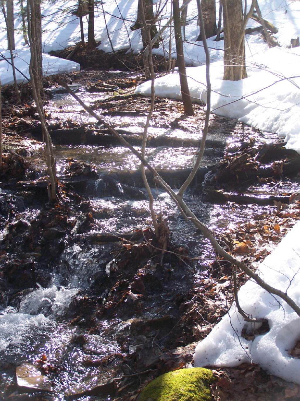 Photo: Creek Sparkles in Sunlight