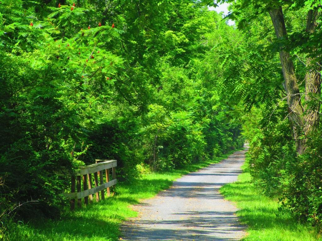 Photo: Nice trail Photo: Nice trail