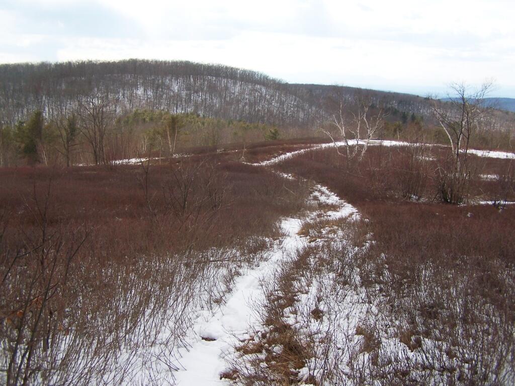 Photo: Trail off Harvey