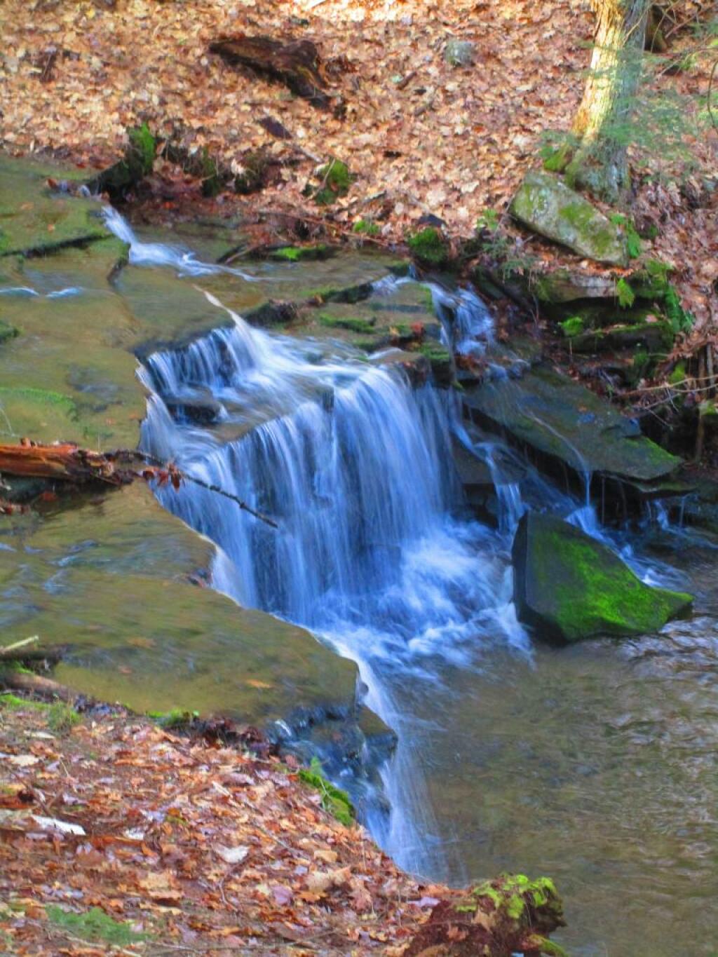 Photo: Little Waterfall Along the Cole Brook