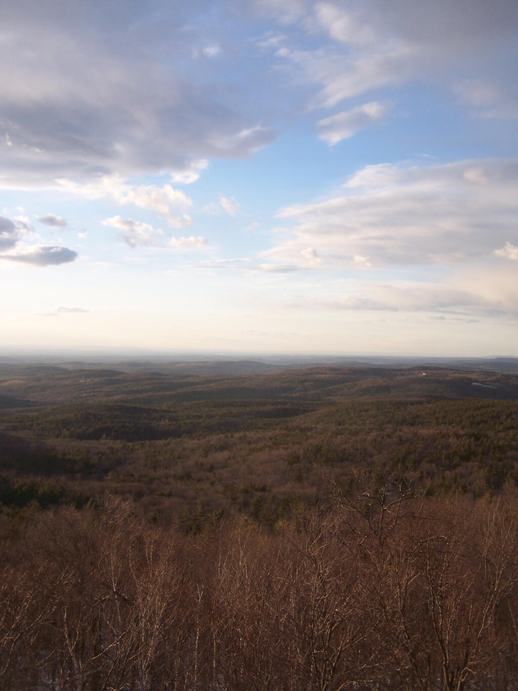 Photo: Tree line and Sky Photo: Tree line and Sky