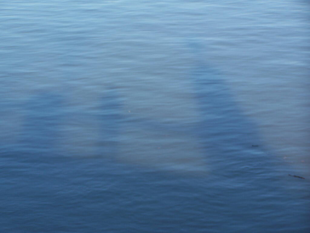 Photo: Reflections