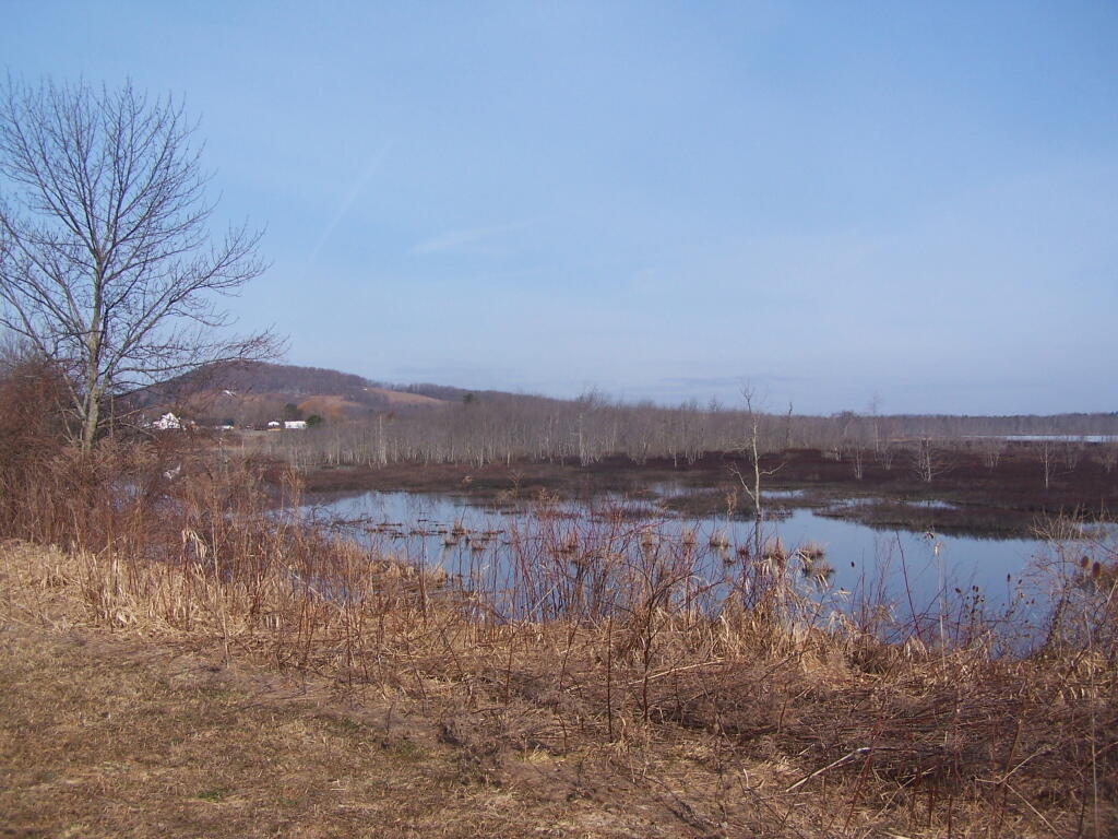 Photo: Looking Towards Richmondville Photo: Looking Towards Richmondville