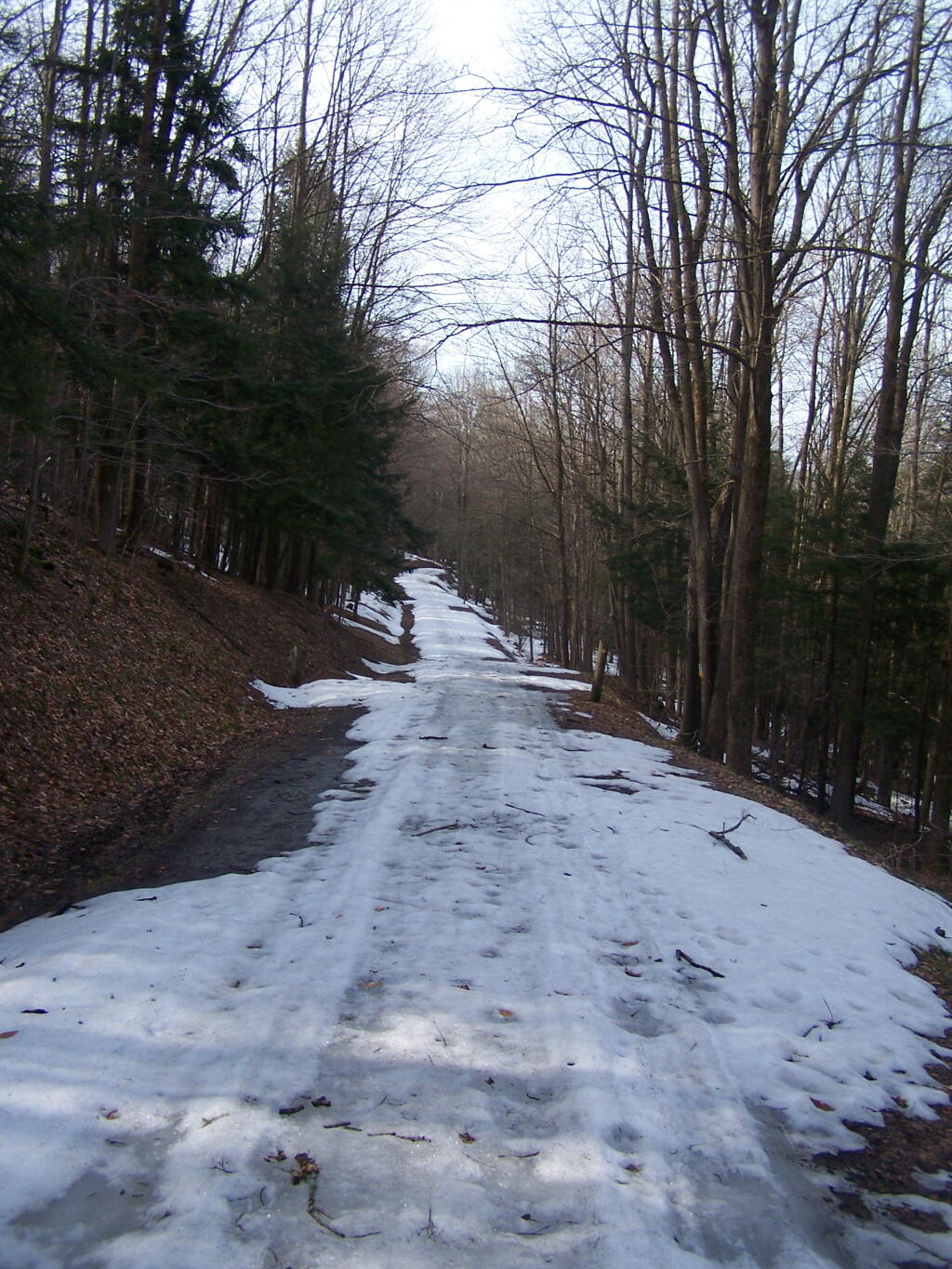 Photo: Hiking Up an Ice Covered Murphy Road Photo: Hiking Up an Ice Covered Murphy Road