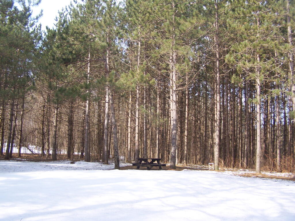 Photo: Camping Area Photo: Camping Area