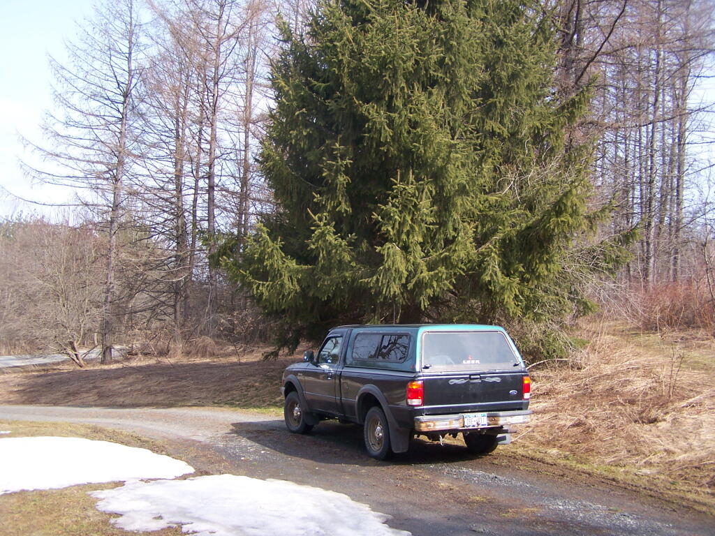 Photo: Parked Along the Parking Area Photo: Parked Along the Parking Area