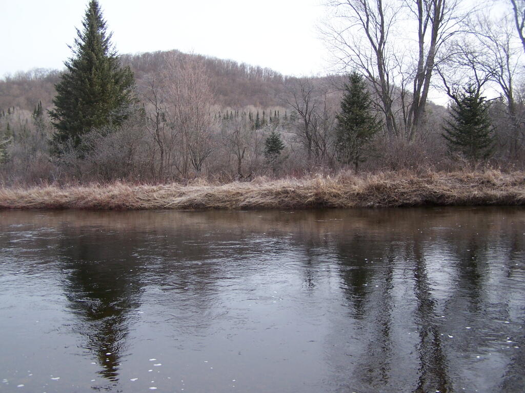 Photo: Looking Across the River