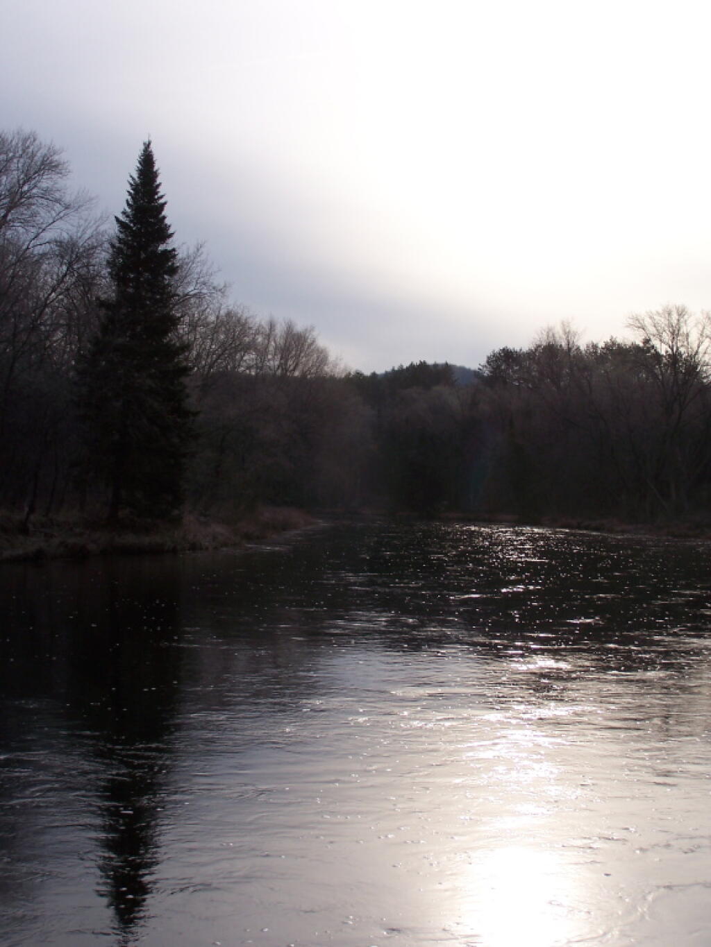 Photo: Looking Up the River