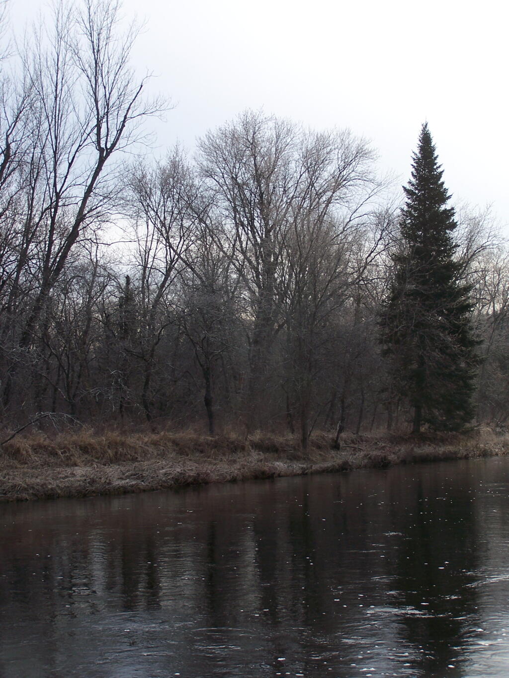 Photo: South West Down the River