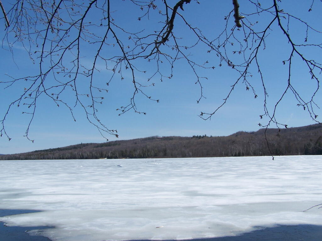 Photo: Across 13th Pond