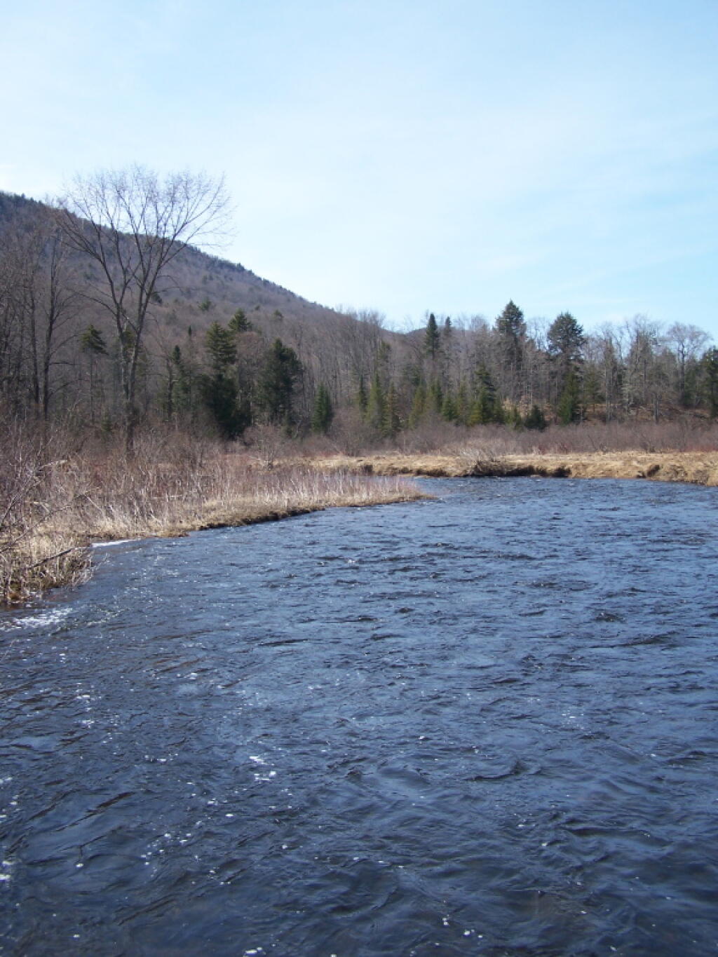 Photo: East Branch