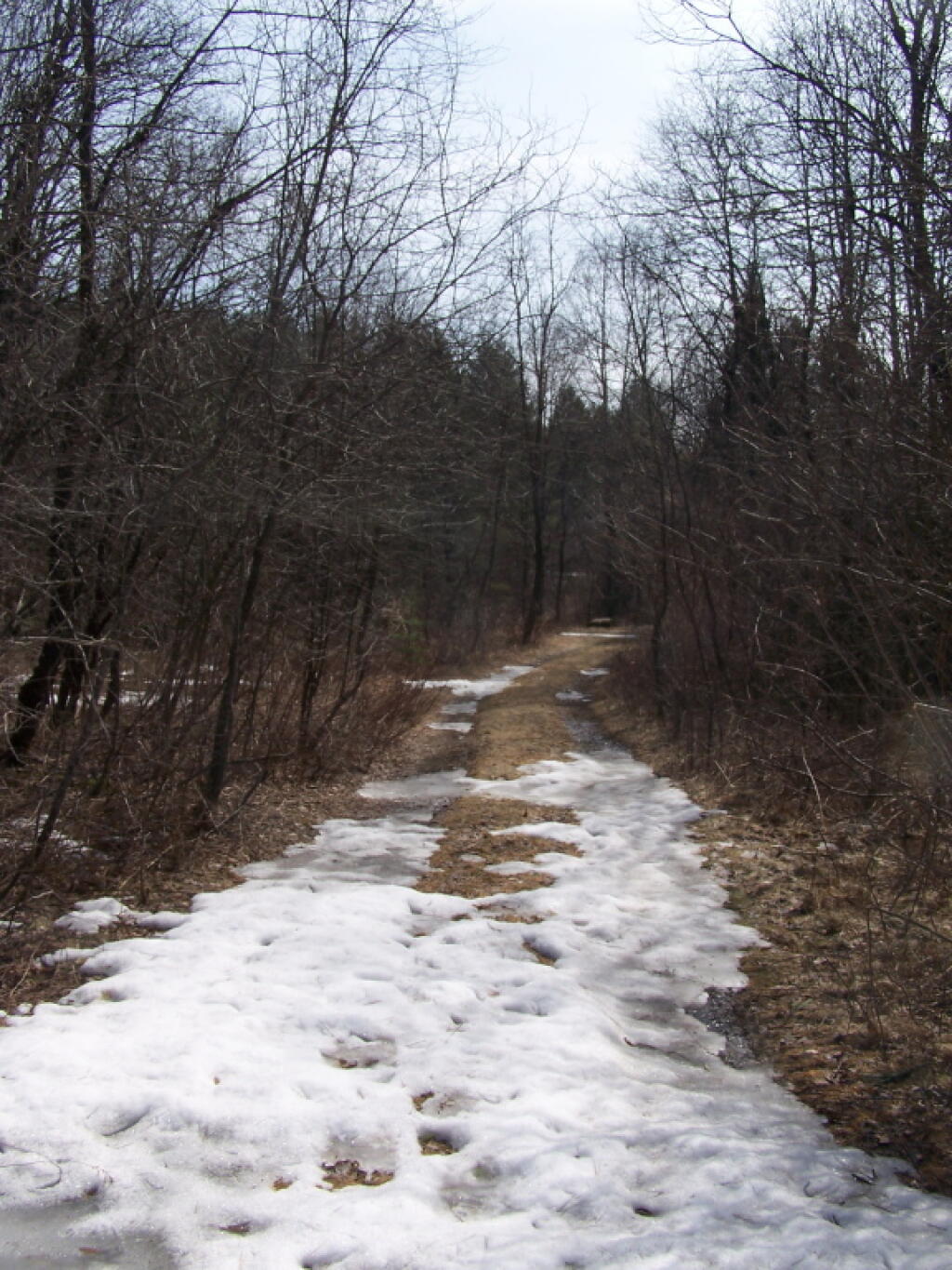 Photo: Old NY Route 8