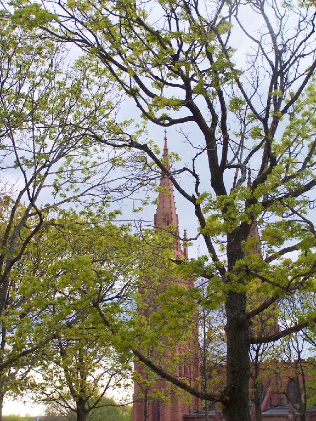 Photo: Chapel Thru the Trees