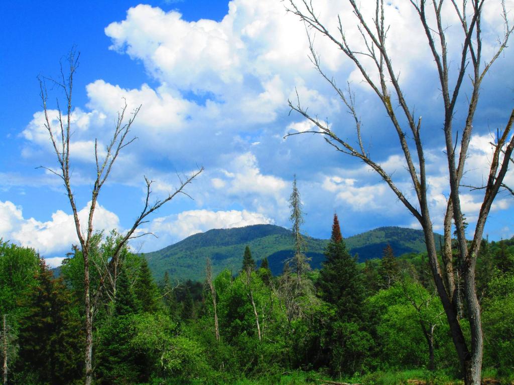 Photo: Cross Mountain and the Big Range Photo: Cross Mountain and the Big Range