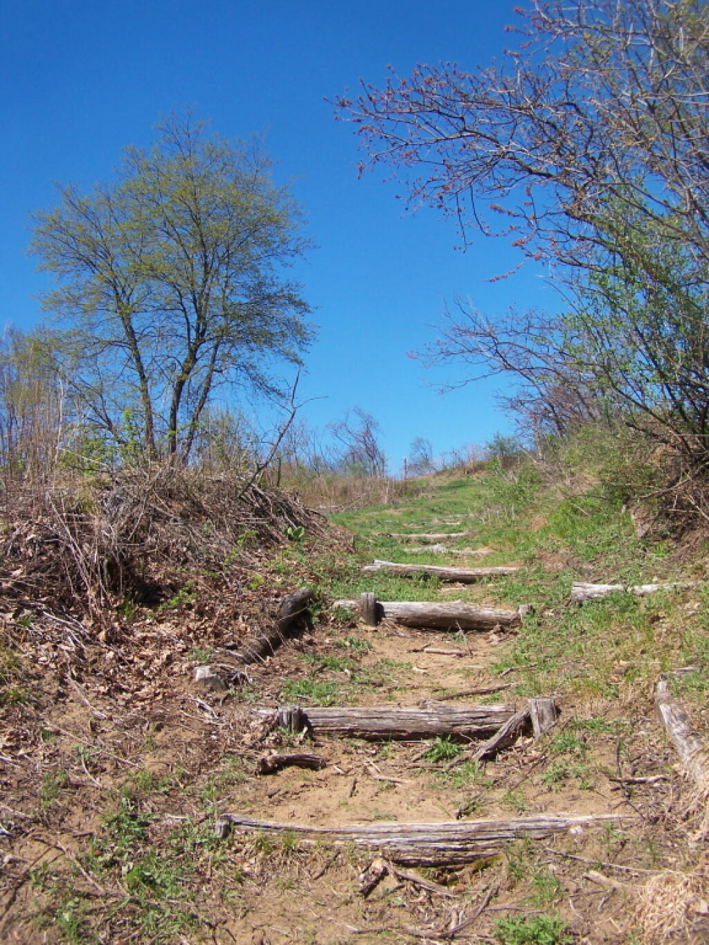 Photo: Stairs Going Up Blueberry Hill