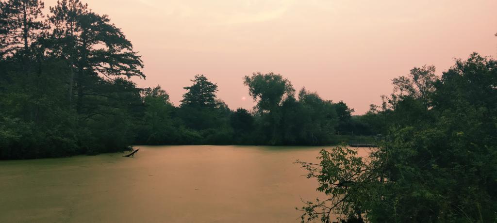 Photo: Wildfire Smoke Makes for a Dim Afternoon at Five Rivers