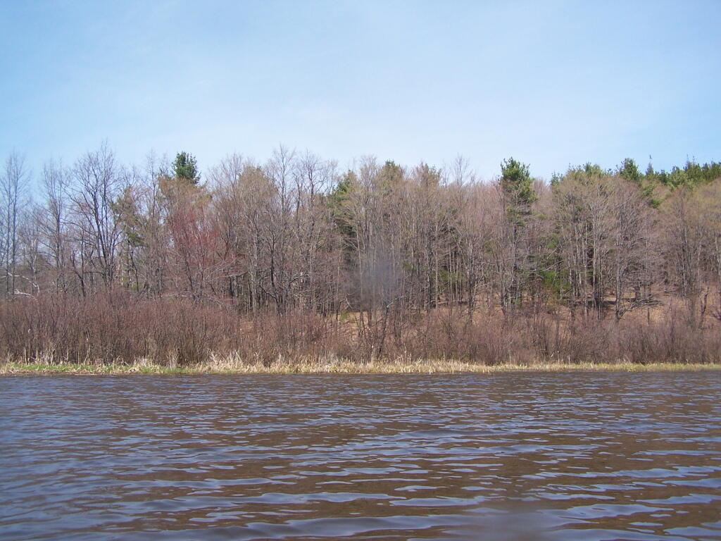 Photo: North East Portion of Lake