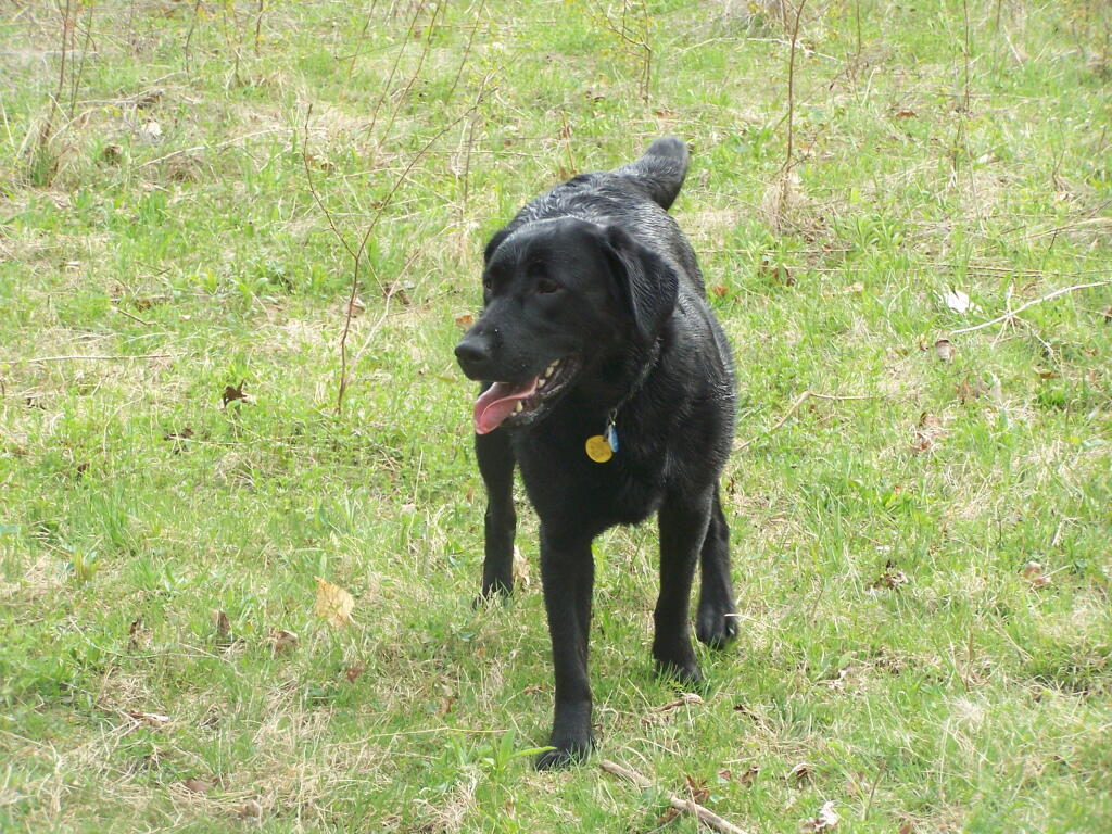 Photo: Hello, Abbie