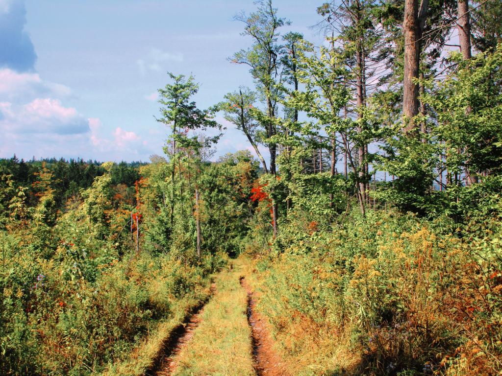Photo: Along the Haul Road