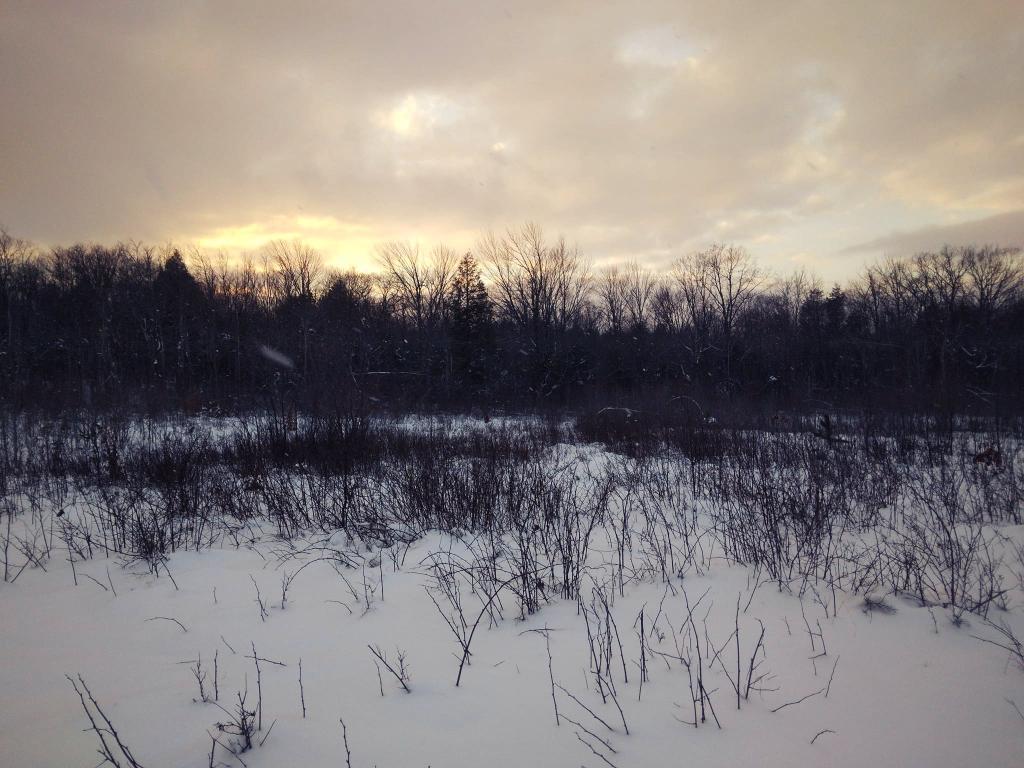 Photo: Skiing on Friday Evening