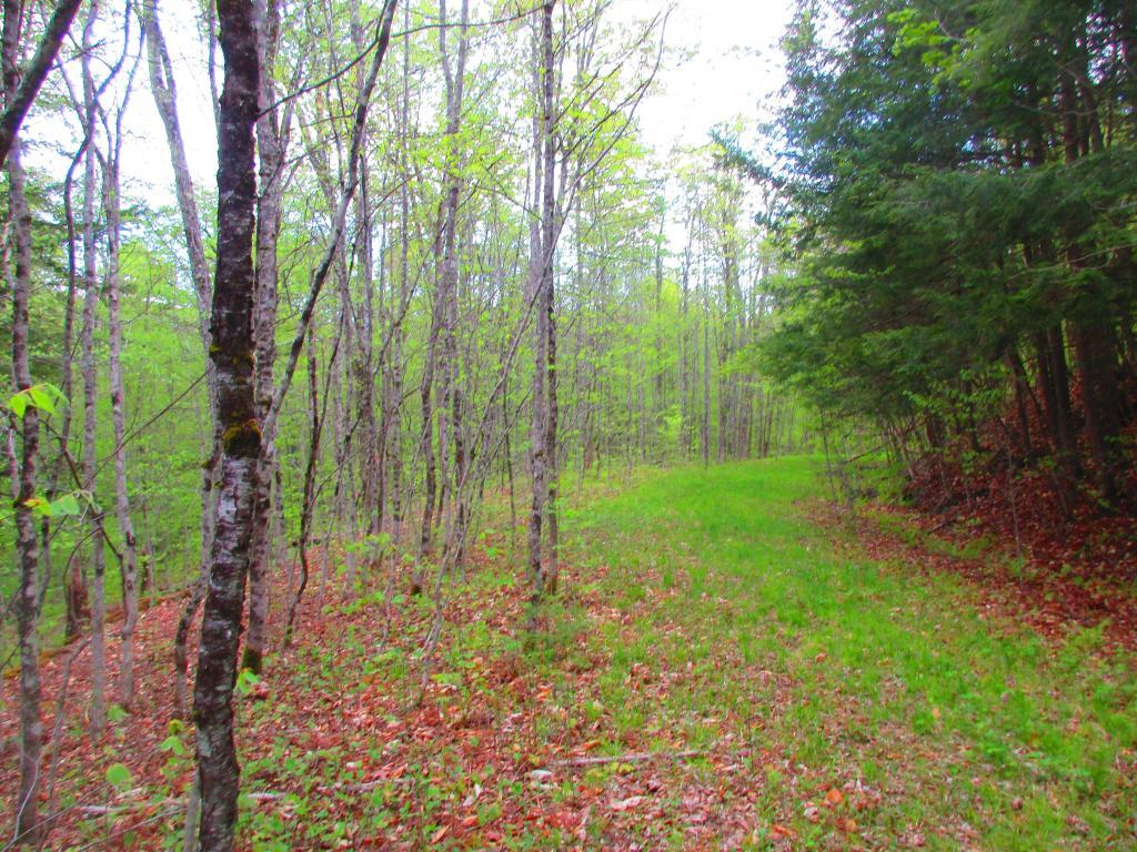 Photo: Hiking Old Route 8A Photo: Hiking Old Route 8A