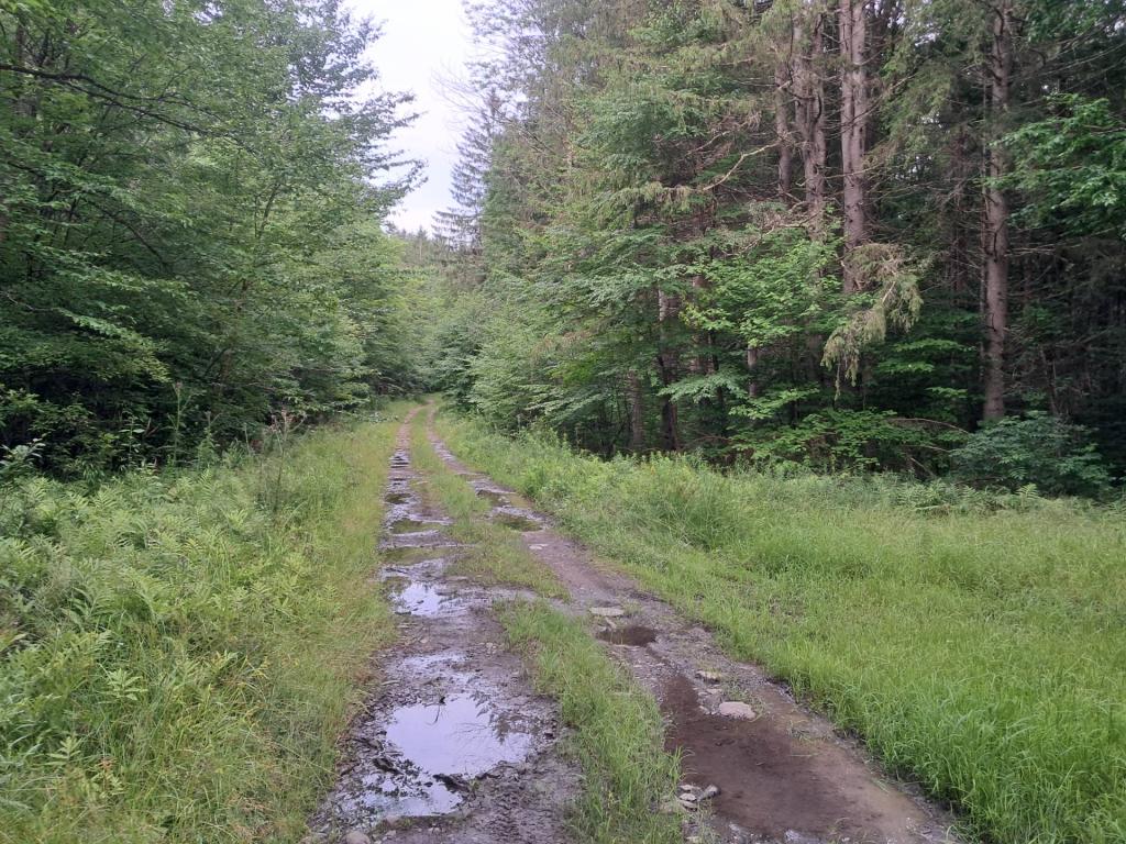 Photo: Untitled