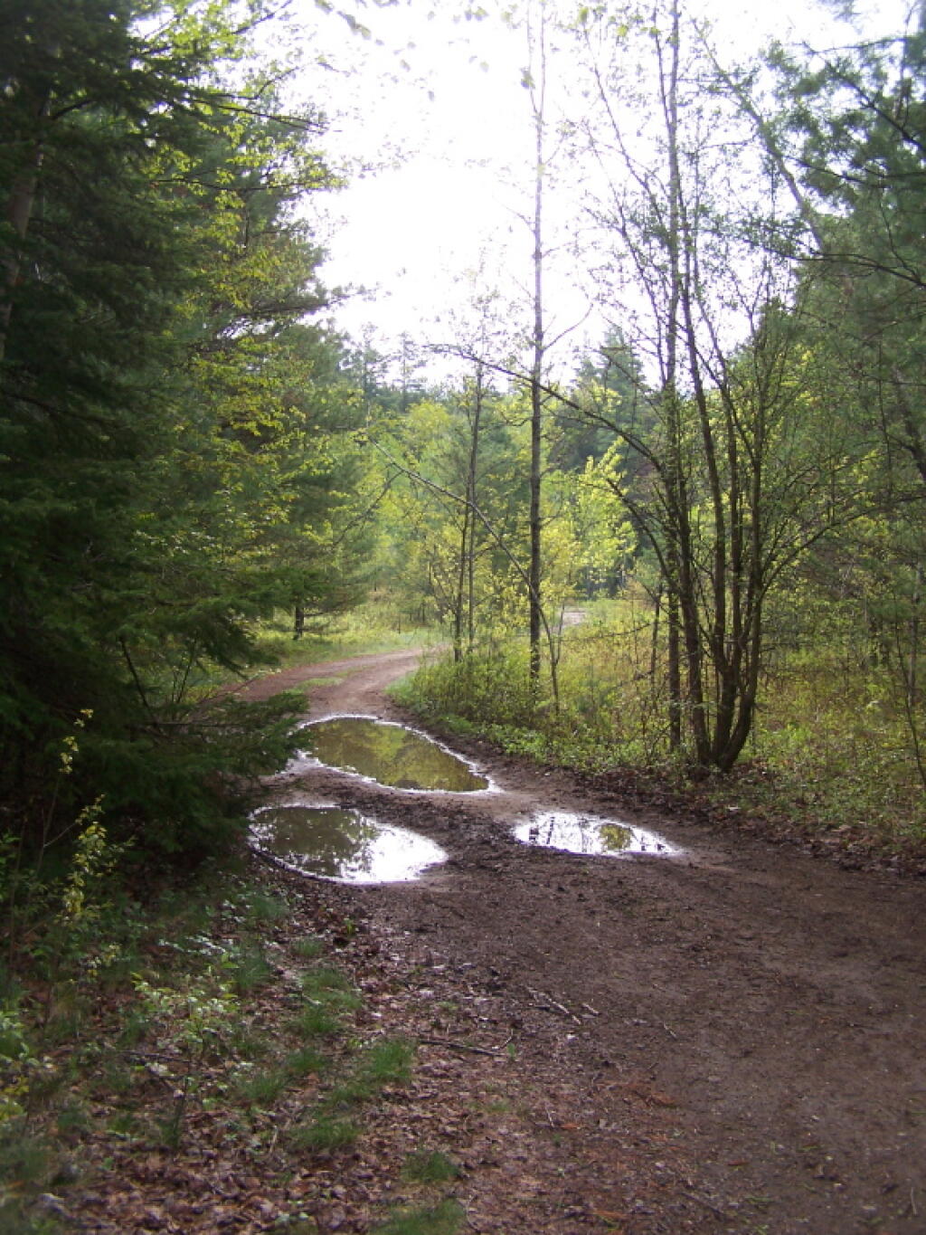 Photo: Looking Back Out Towards NY 8