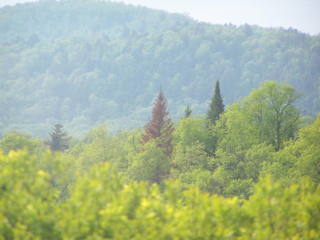 Photo: Powley Place with Big Alderbed Mountain