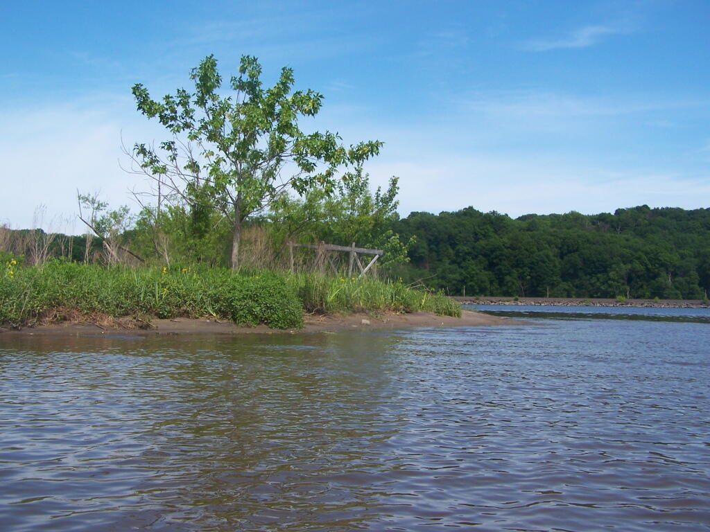 Photo: Tip of Gays' Point Photo: Tip of Gays' Point