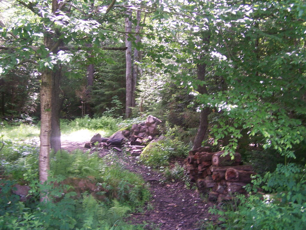 Photo: Campsite 1 at Remsen Falls