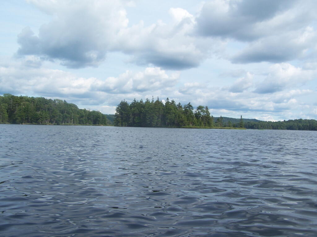 Photo: Island on the Lake