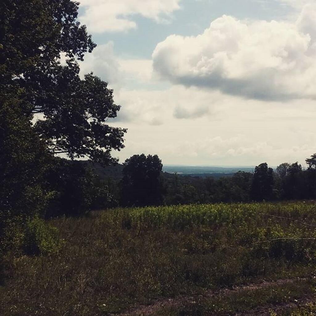 Photo: North Vaille Pasture