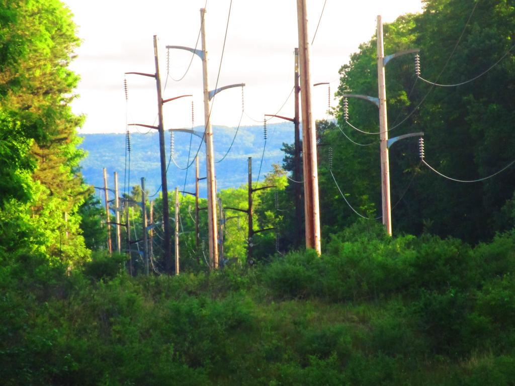 Photo: Power Lines