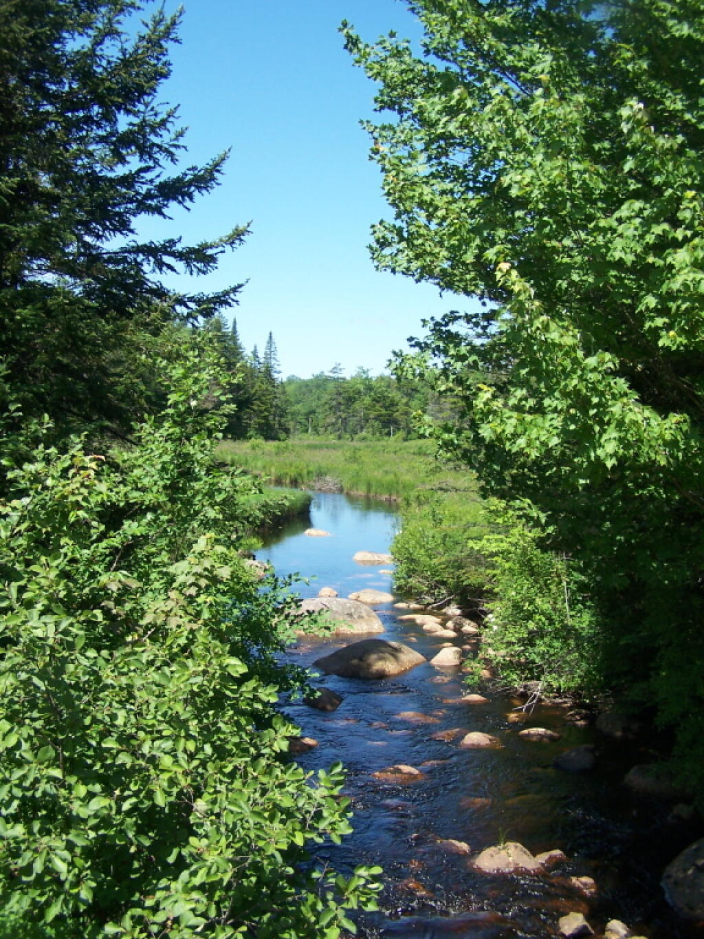 Photo: Shaw Brook
