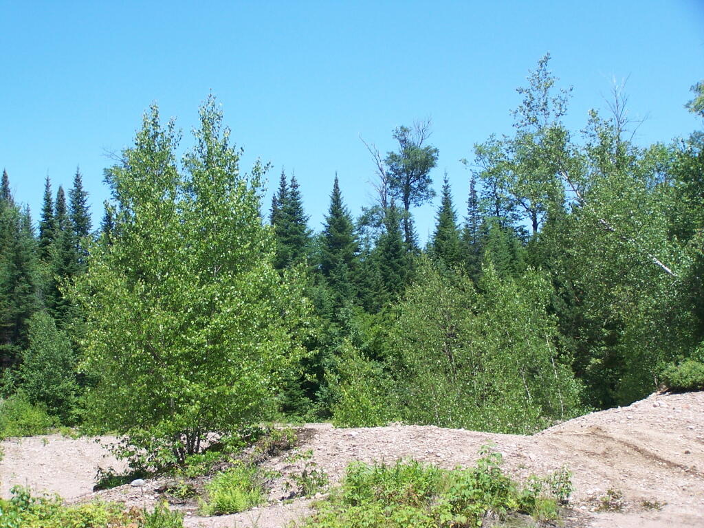 Photo: Gravel Pit