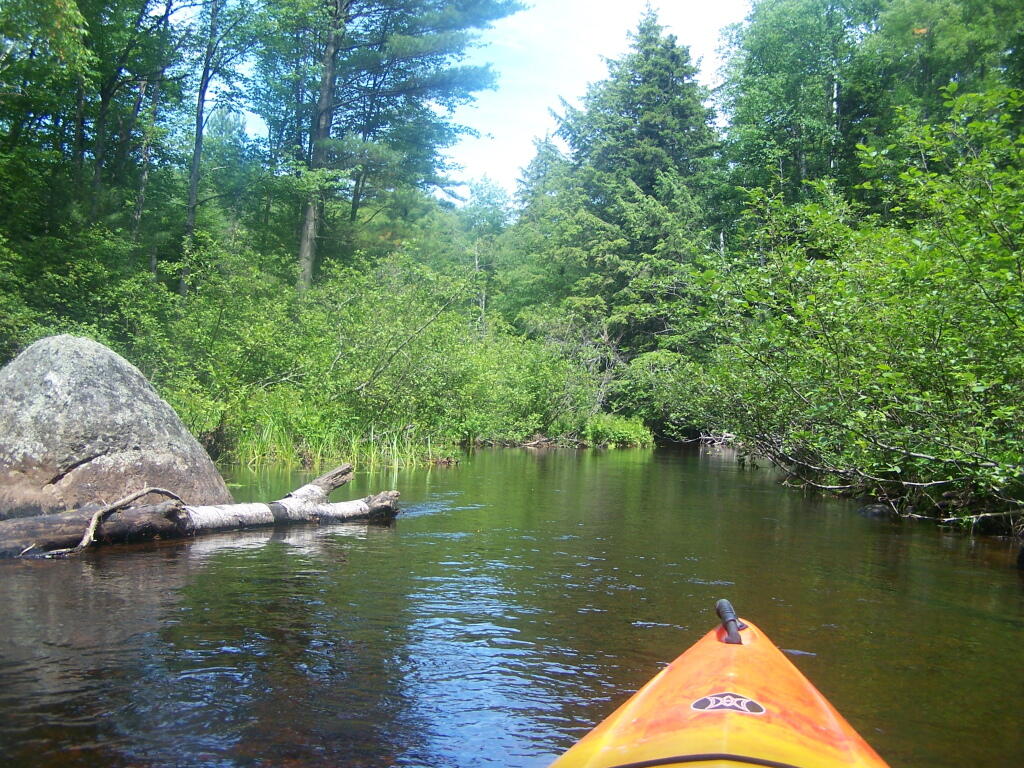 Photo: Narrow Passage Between Rollins Pond and Poliwog Pond Photo: Narrow Passage Between Rollins Pond and Poliwog Pond