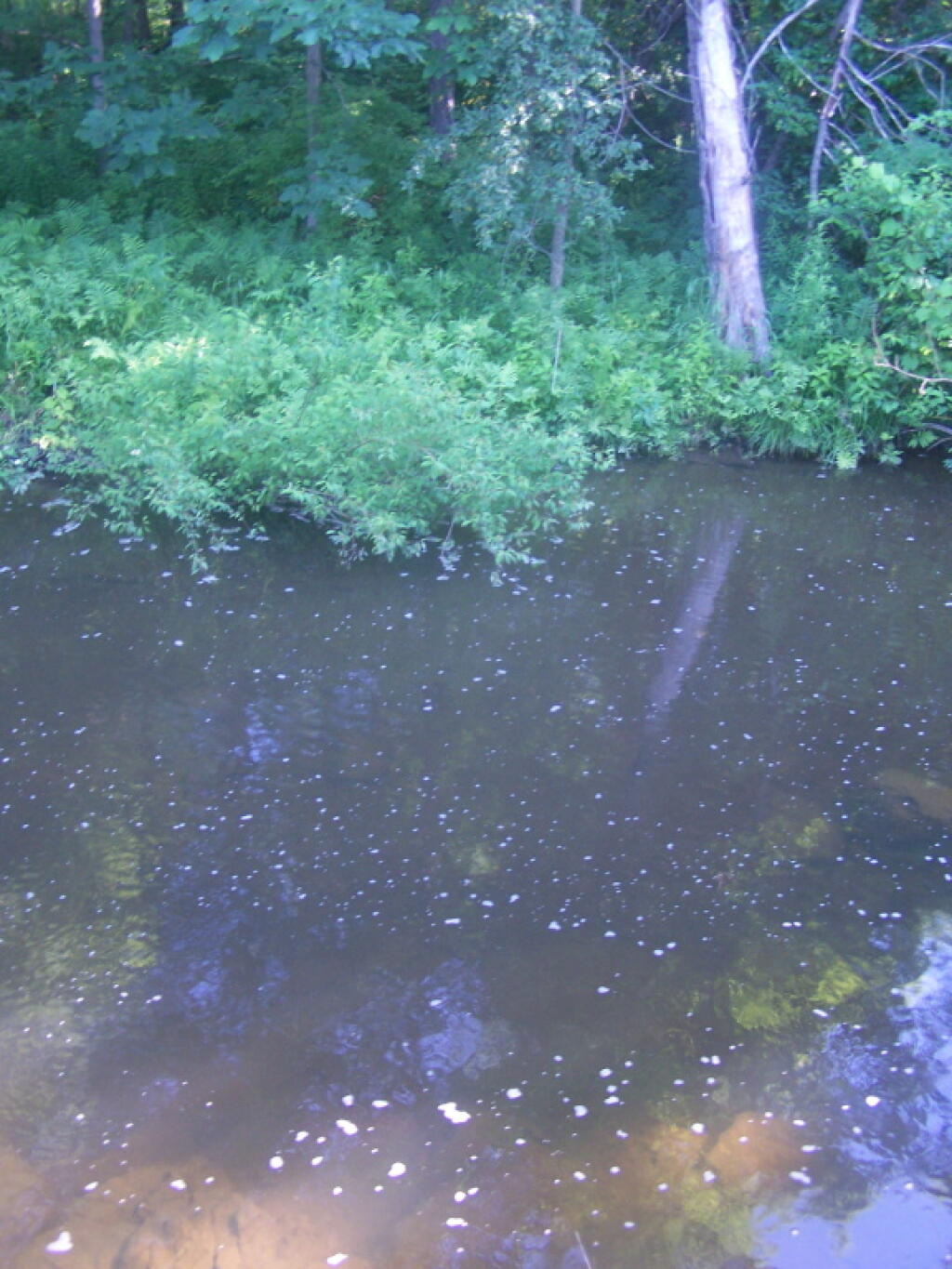 Photo: Hannacroix Creek