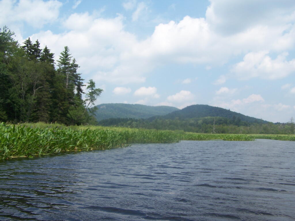 Photo: In Good Luck Lake Photo: In Good Luck Lake