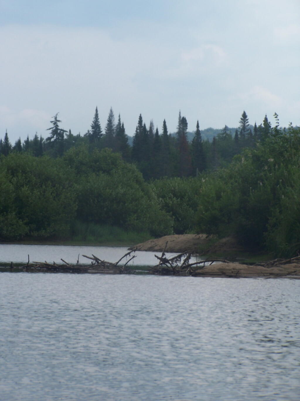 Photo: Beaver Dam Photo: Beaver Dam