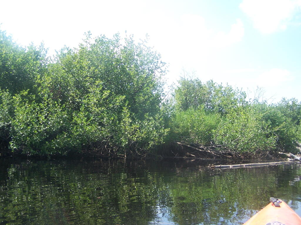 Photo: Portage Trail