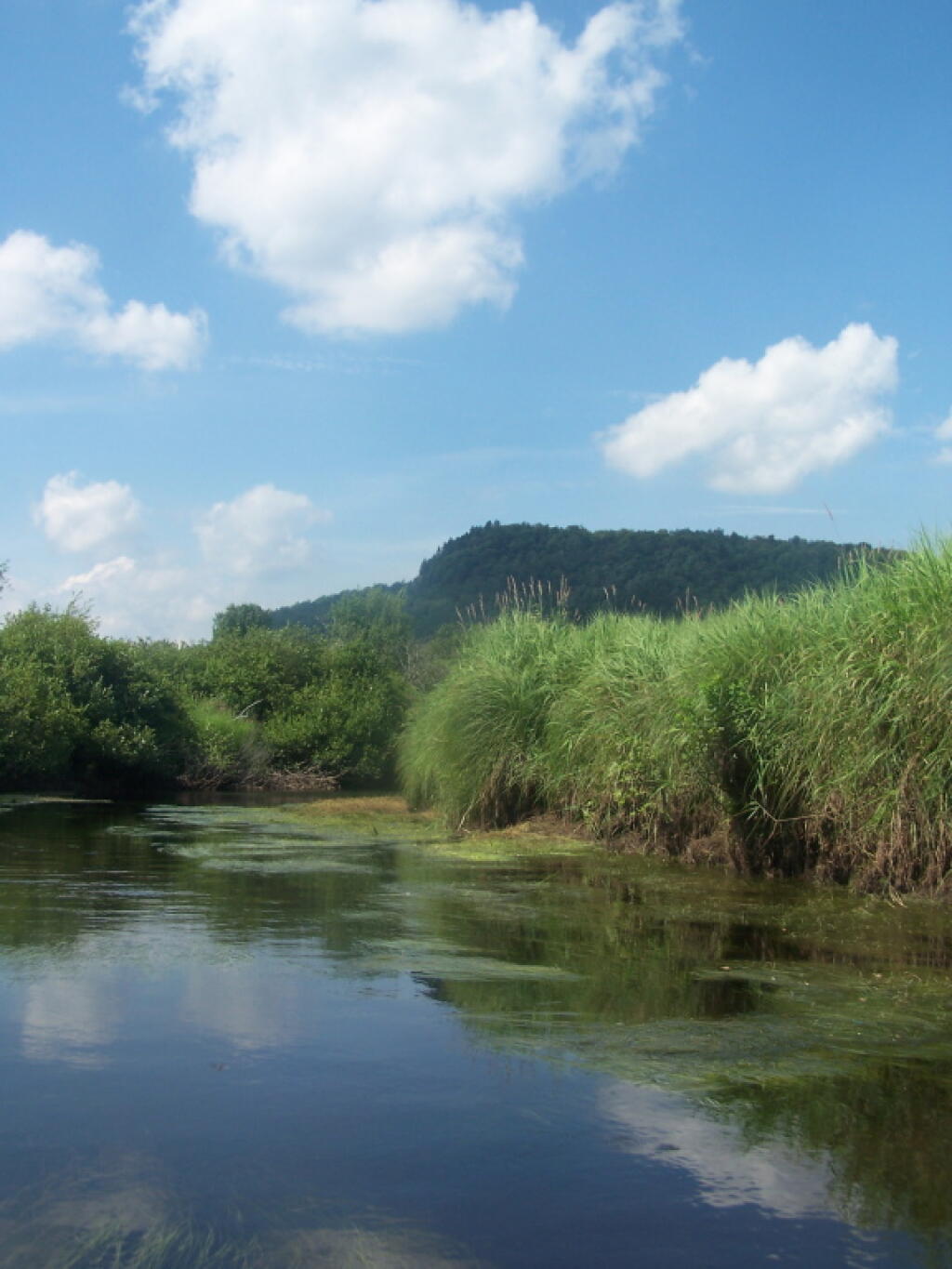 Photo: Looking Back at Trout Lake Mountain